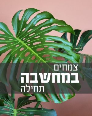 וובינר בנושא תכנון ושילוב צמחייה בפרויקטים בהנחיית טלי אוסדון- מעצבת פנים, חברת  TOMGROW